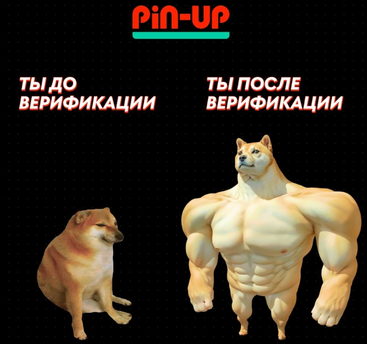 Pin Up Games: ақшаға арналған ойындары бар лицензияланған онлайн клуб
